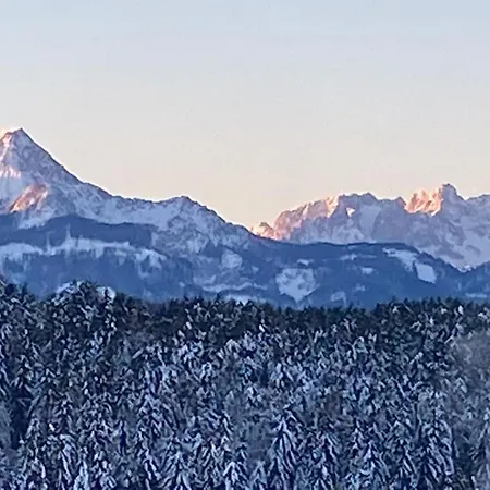 St. Martin 28 アパート